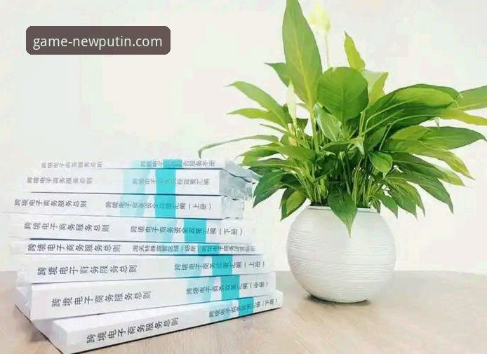 新普京iOS版评测 7个维度深度解析新普京iOS版评测:从安装到体验的全方位指南